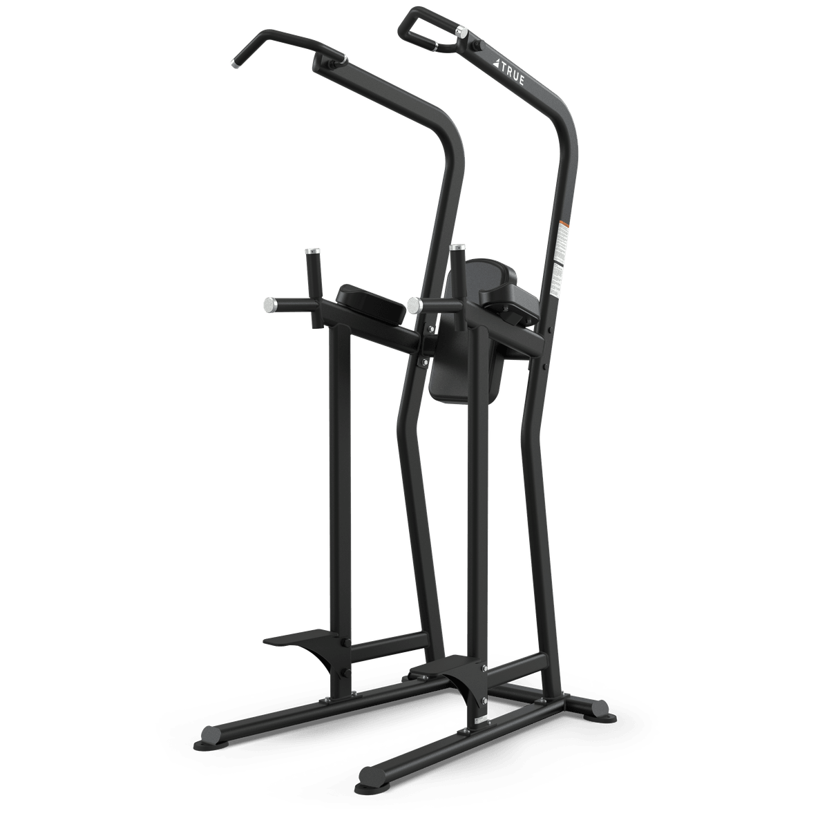 TRUE FS-23 Knee Raise/Dip/Chin Station - Commercial fitness equipment
