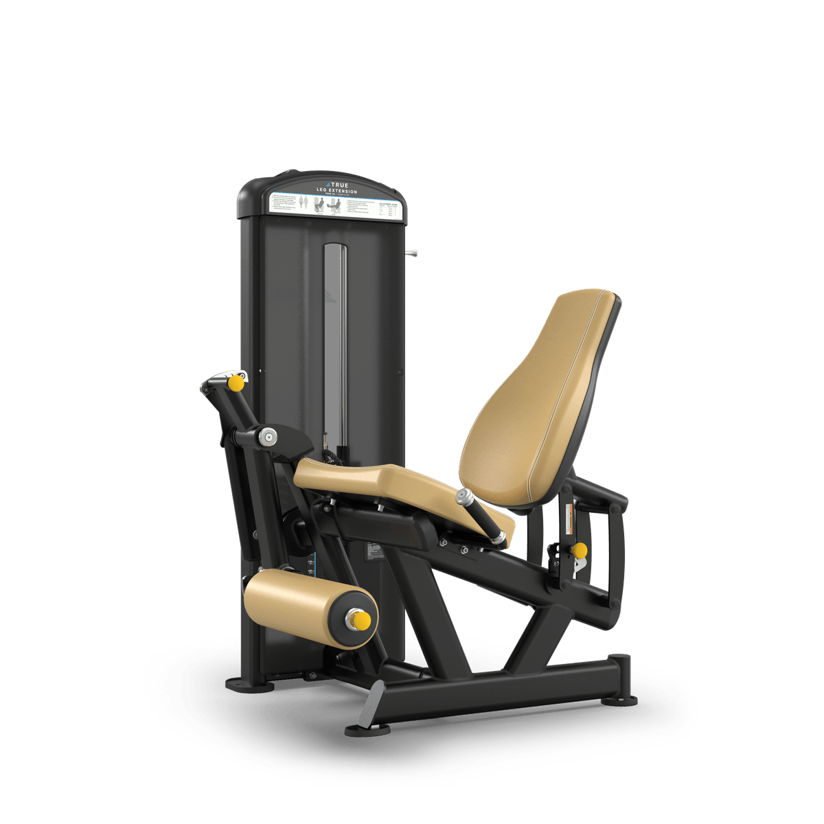 TRUE FUSE-0100 Leg Extension - Commercial fitness equipment