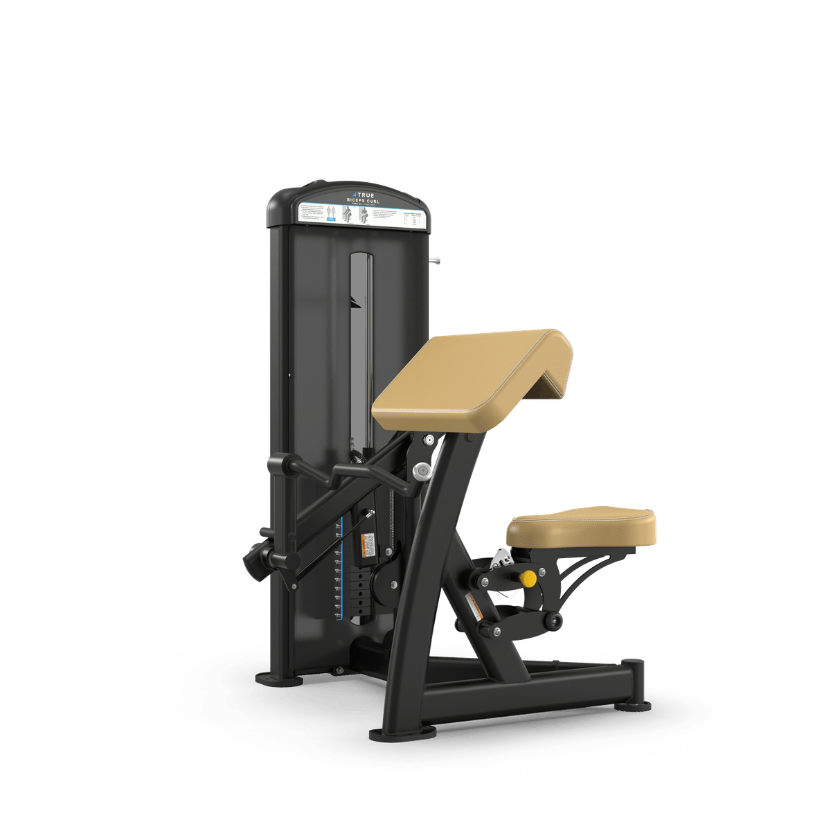 TRUE FUSE-0600 Biceps Curl - Commercial fitness equipment