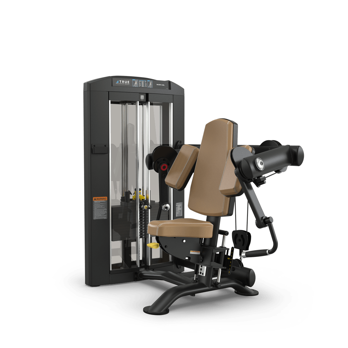 TRUE SPL-0600 Seated Bicep Curl - Commercial fitness equipment