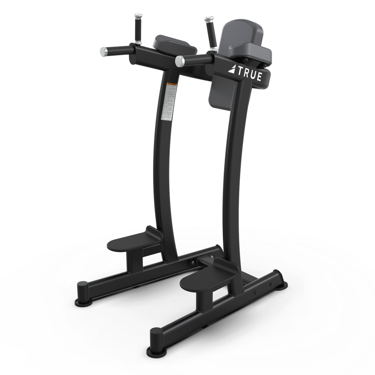 TRUE XFW-6400 Vertical Knee Raise/Dip - Commercial fitness equipment